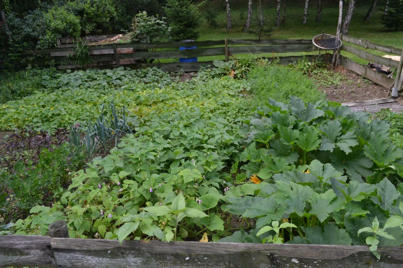Agroturystyka Teosiowo Pobiedna Bagian luar foto